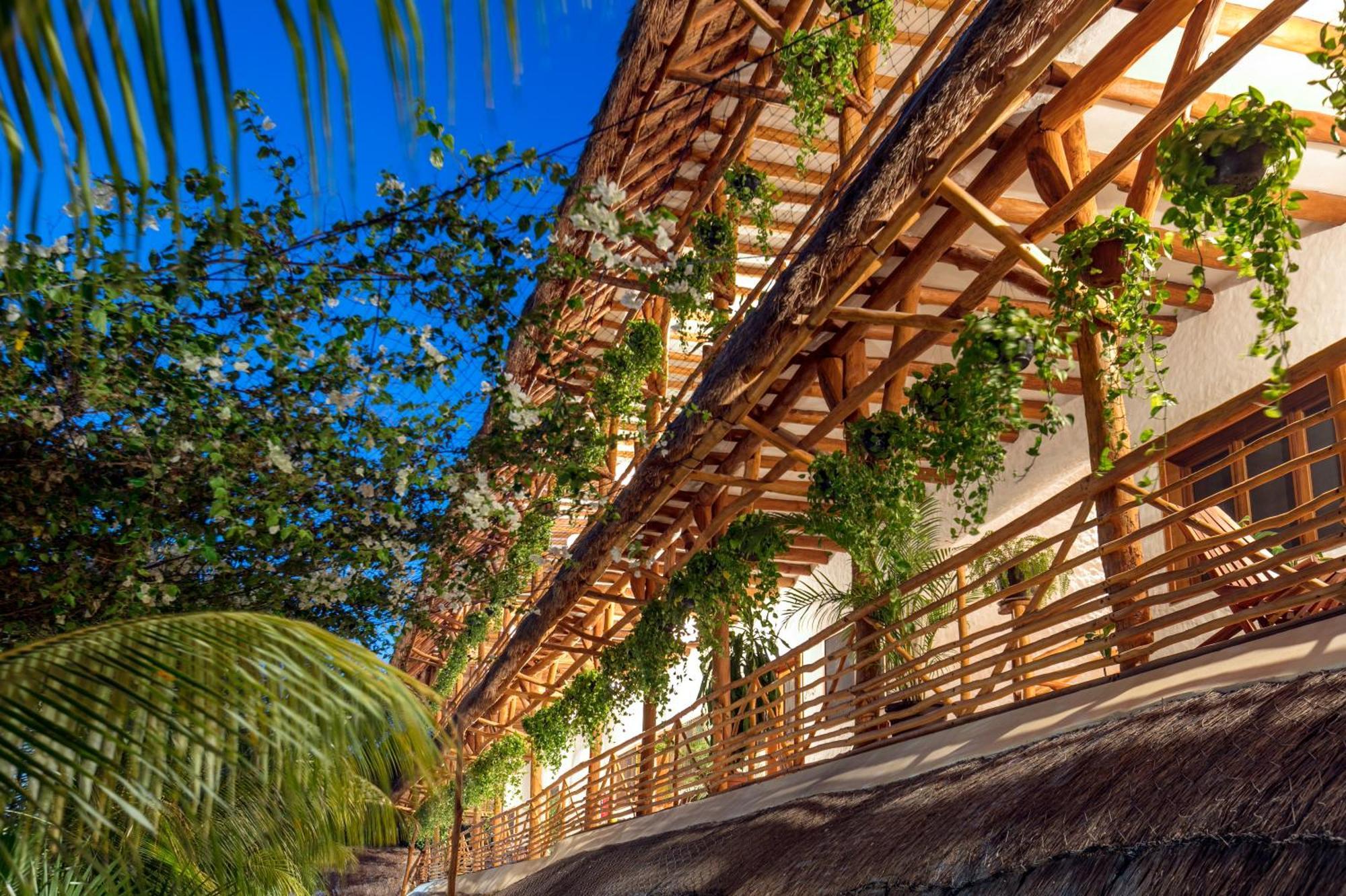 Hotel La Palma Holbox Exterior foto